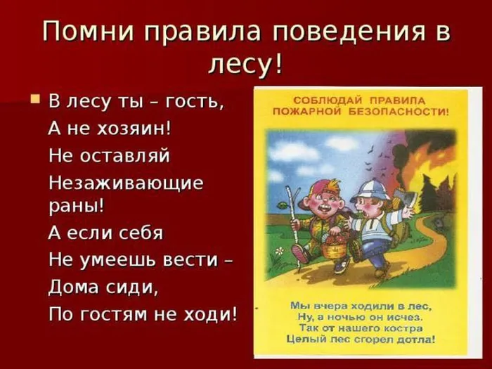 IMG_20230512_105401_932